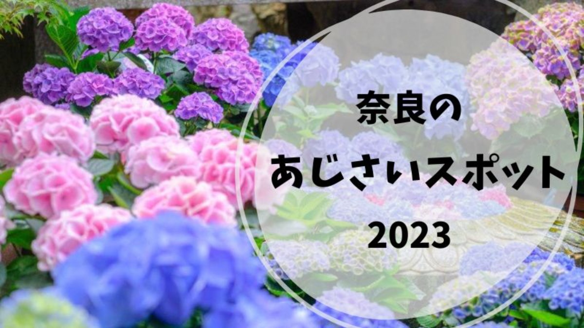 雨の季節も楽しく♪奈良でおすすめのあじさいスポットまとめ【2023年】
