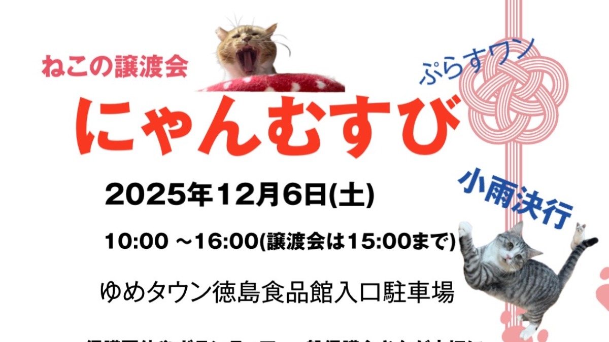 【徳島イベント情報2025】12/6｜にゃんむすび