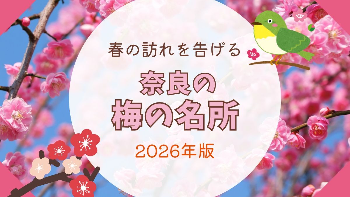 春の訪れを告げる、「奈良の梅の名所」まとめ【2026年版】