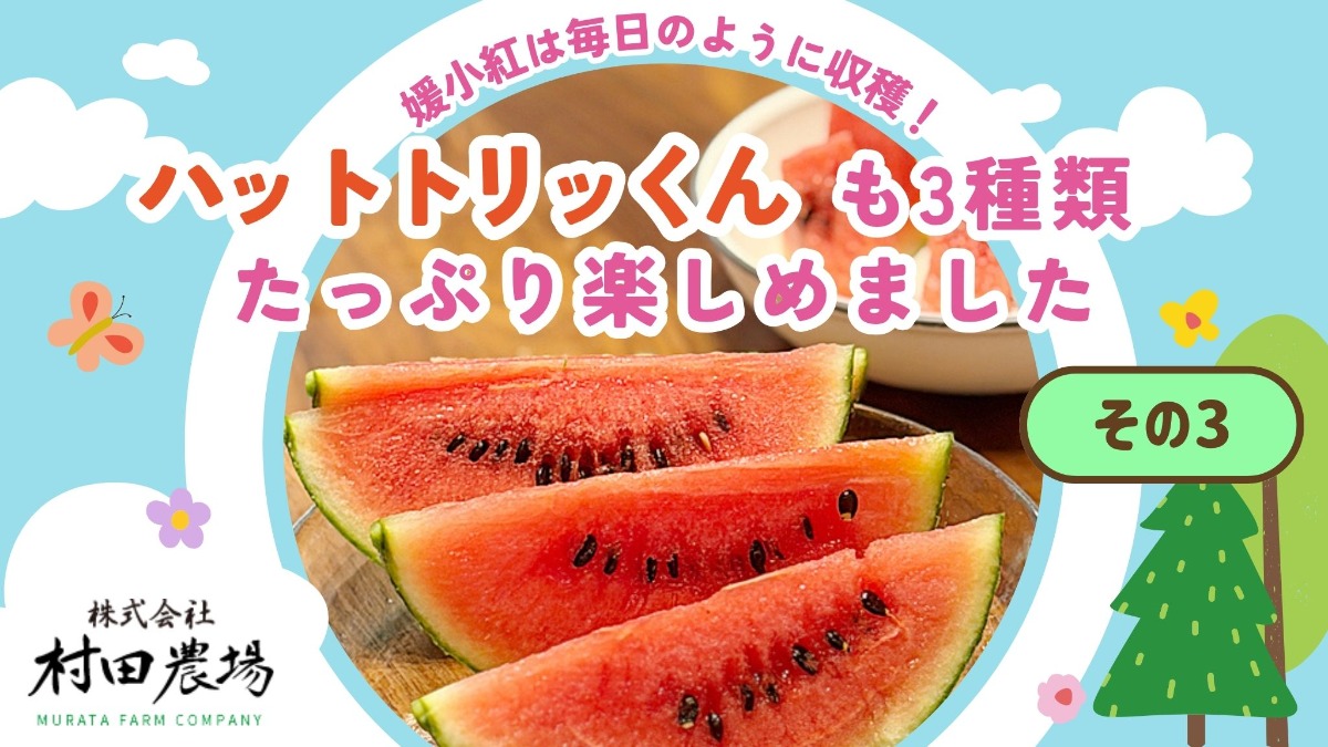記事画像