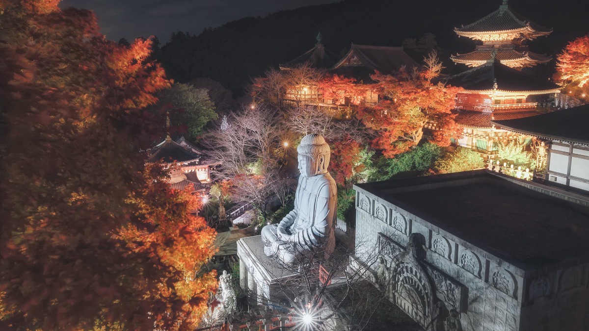 【奈良の紅葉2023】ため息がでるほど美しい山寺ならではの壷阪寺の秋｜ 奈良県高市郡高取町