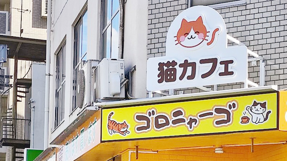 記事画像