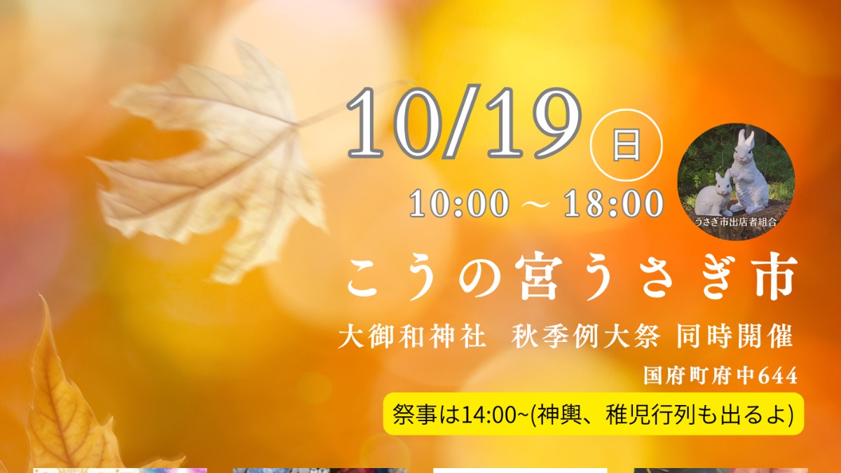 【徳島イベント情報2025】10/19｜こうの宮うさぎ市
