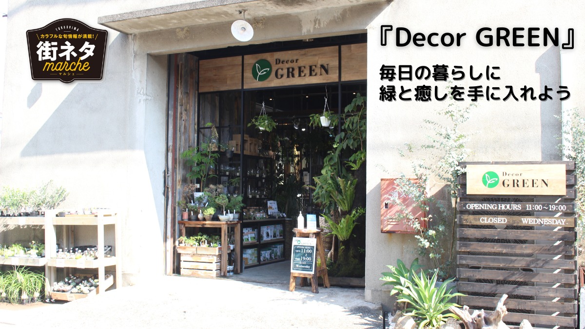 【2022年8月オープン ／Decor GREEN（デコールグリーン・徳島市万代町）】毎日の暮らしに緑と癒しを手に入れよう！多種多様な観葉植物が揃う店。