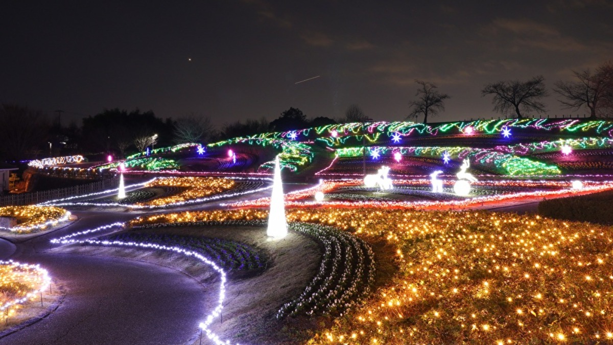 【奈良イルミネーション2022】光の花咲く馬見丘陵公園のクリスマス