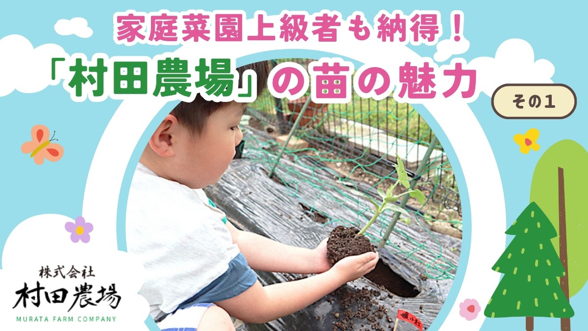 記事画像