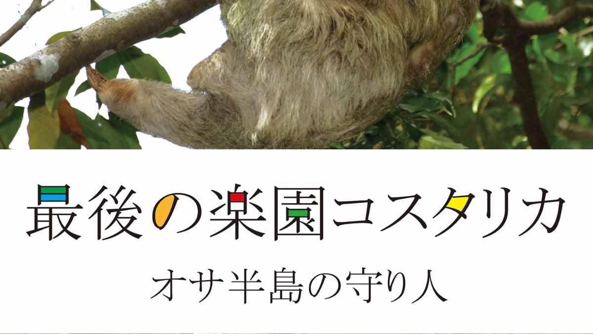 【徳島イベント情報2025】2/13～2/15｜映画『最後の楽園コスタリカ～オサ半島の守り人～』