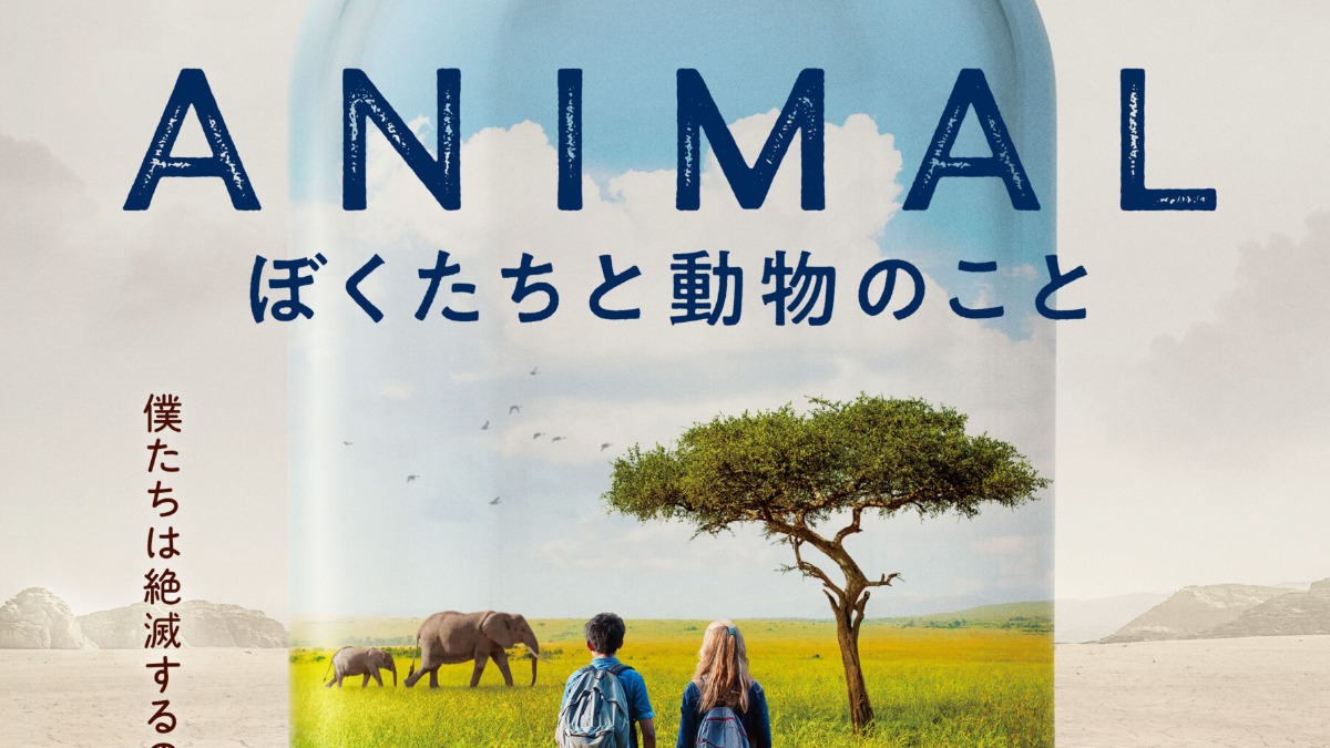 【徳島イベント情報2025】2/28｜金ムギロードショー『ANIMAL』