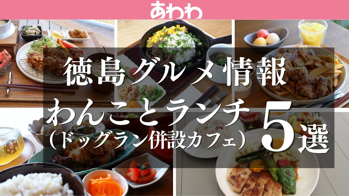 【徳島グルメ情報】わんことランチ（ドッグラン併設カフェのランチ）編5選！
