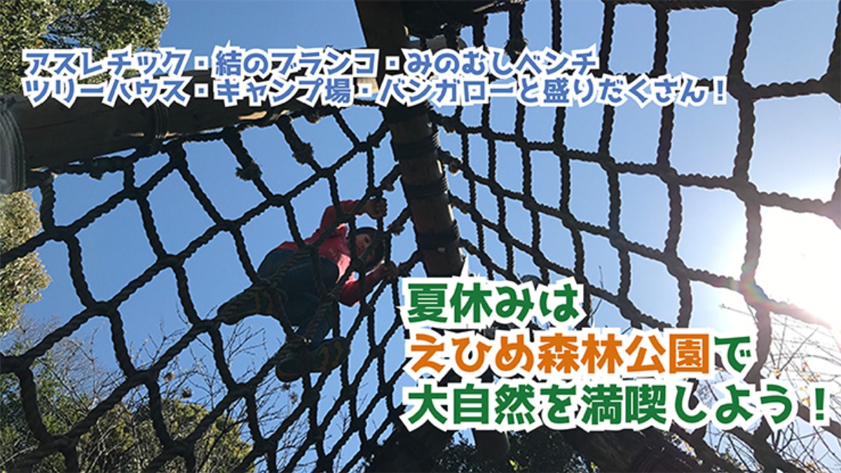 記事画像