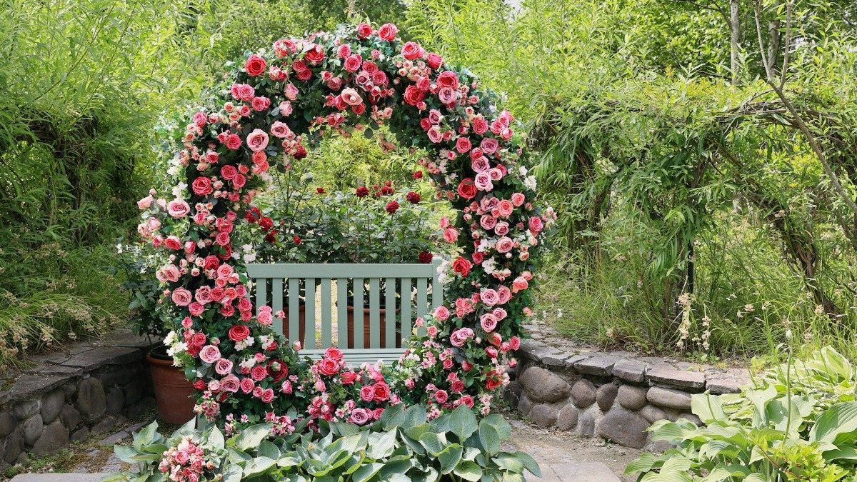 銀河庭園で「バラ祭」6月29日より開催！見ごろのバラを堪能しよう