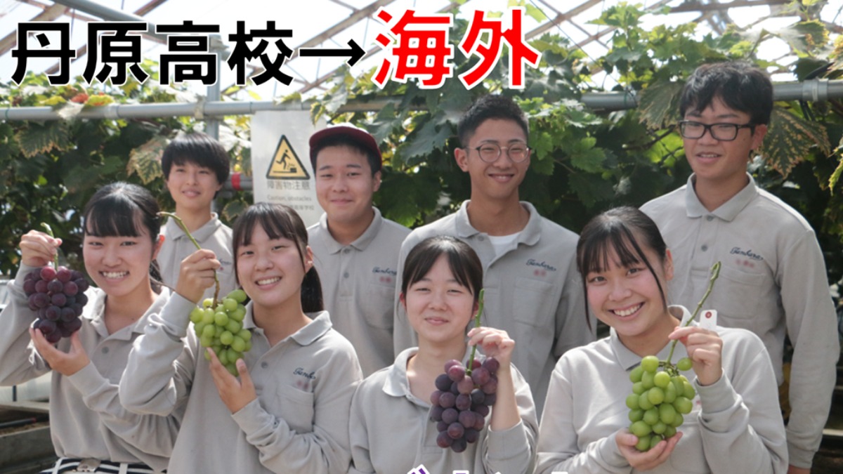 高校生が海外へ輸出!?　丹原高校が続ける国際水準のブドウ栽培