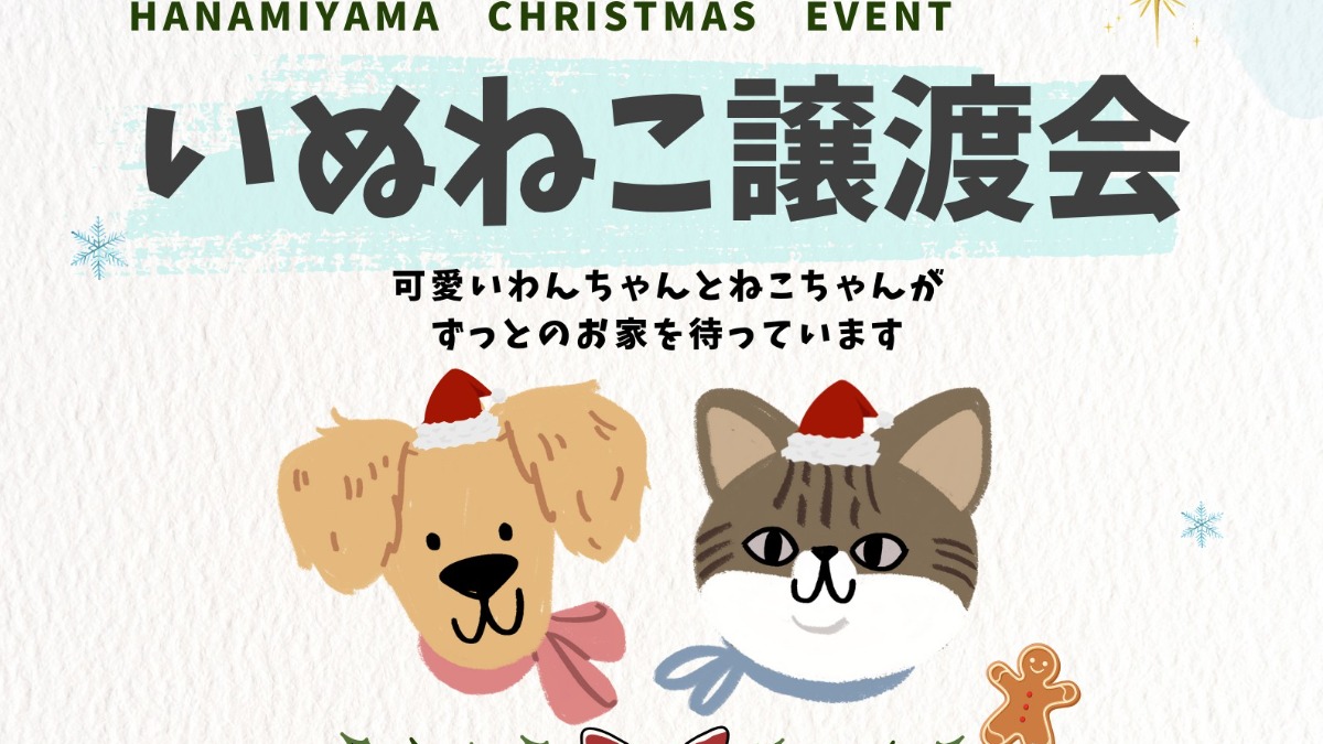 【徳島イベント情報2025】12/20｜いぬねこ譲渡会