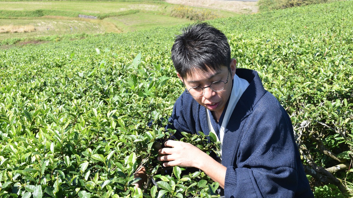 【naranto】環境と調和した自然農で、未来の地球に繋ぐ。奈良の茶園『健一自然農園』代表・伊川健一さん