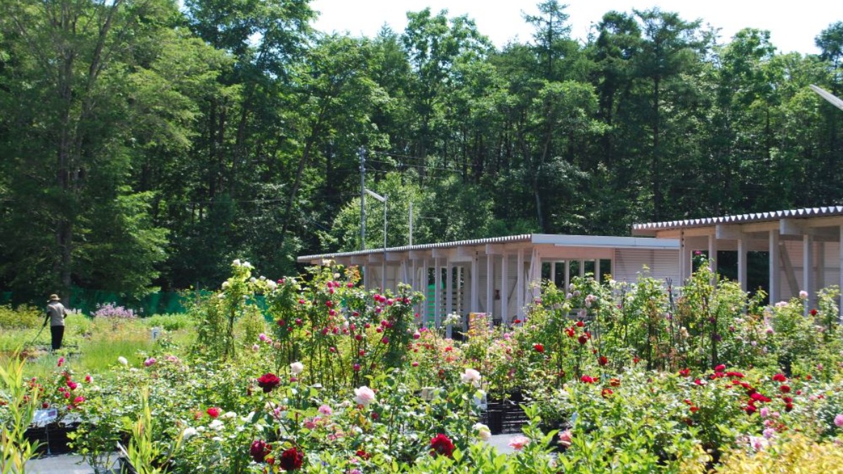 ガーデン併設のナーセリー「イコロの森」4月21日より春のオープン