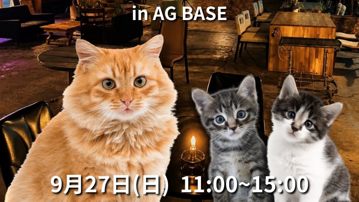【徳島イベント情報2026】9/27｜保護猫譲渡会 in AG BASE