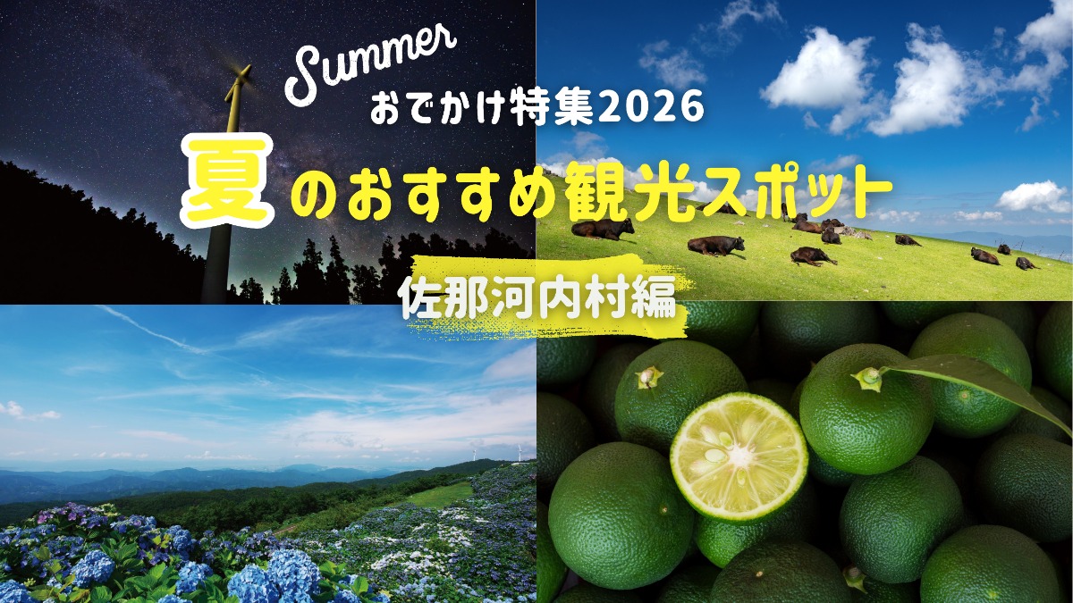 【佐那河内村】夏のおでかけ特集2026