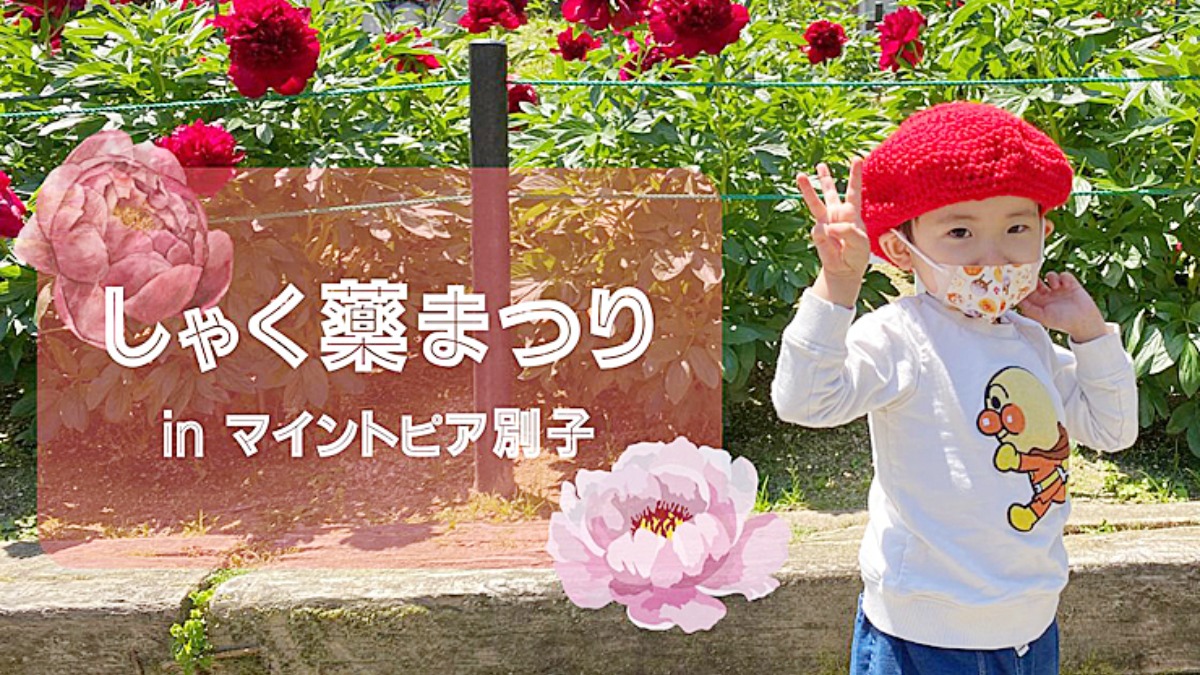 記事画像
