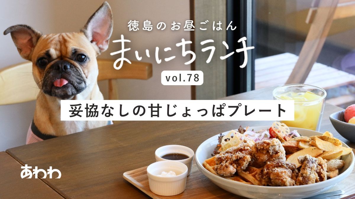 【まいにちランチvol.78】沖洲ドッグガーデン（徳島市）／わんことランチ（ドッグラン併設カフェのランチ）