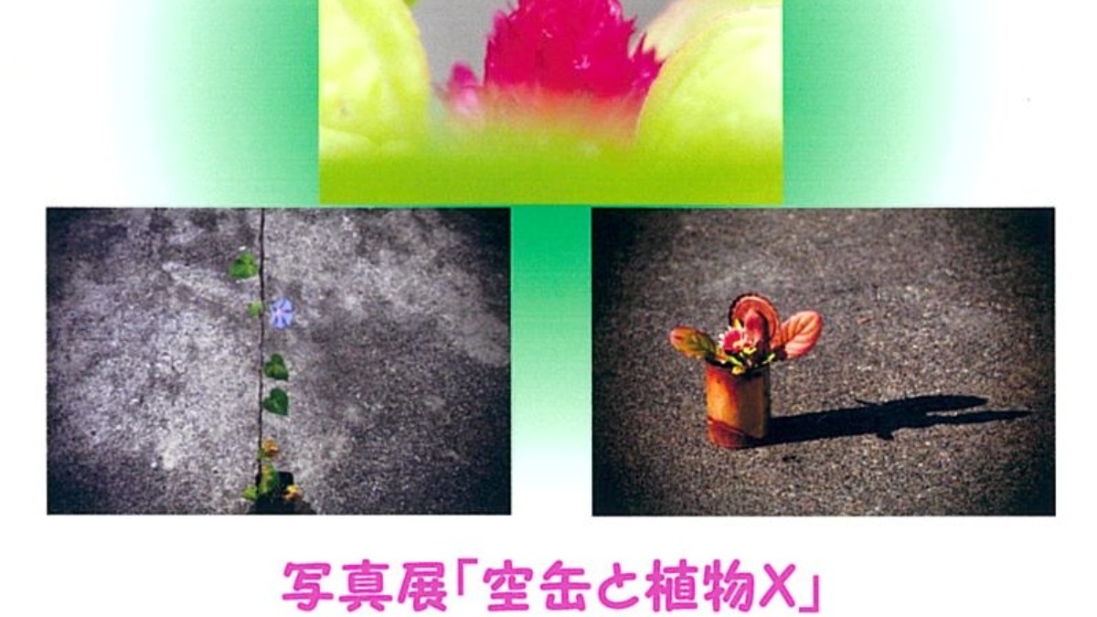 【徳島イベント情報】8/4～8/25｜川村泰史写真『空缶と植物X』