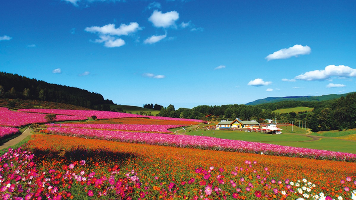 春から夏のオホーツク案内｜遠軽町　四季を彩る豊かな自然と、 白滝遺跡が紡ぐ歴史のまち