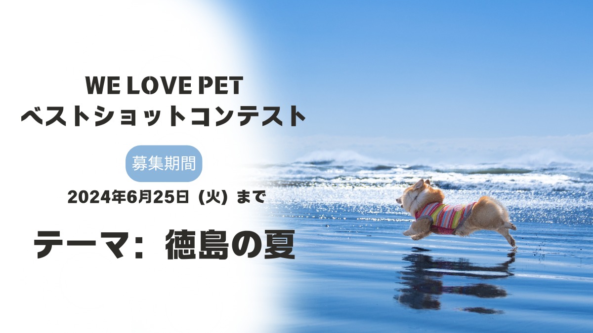 【ベストショットコンテスト】「徳島の夏」をテーマにペットの写真大募集！優秀作品にはギフト券進呈・『阿波おどりガイド2024』掲載