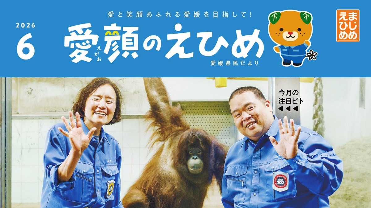 記事画像