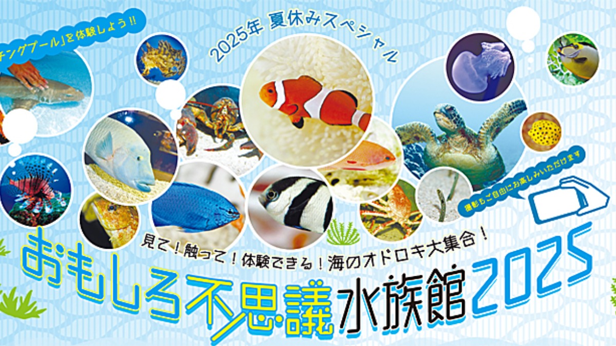 記事画像