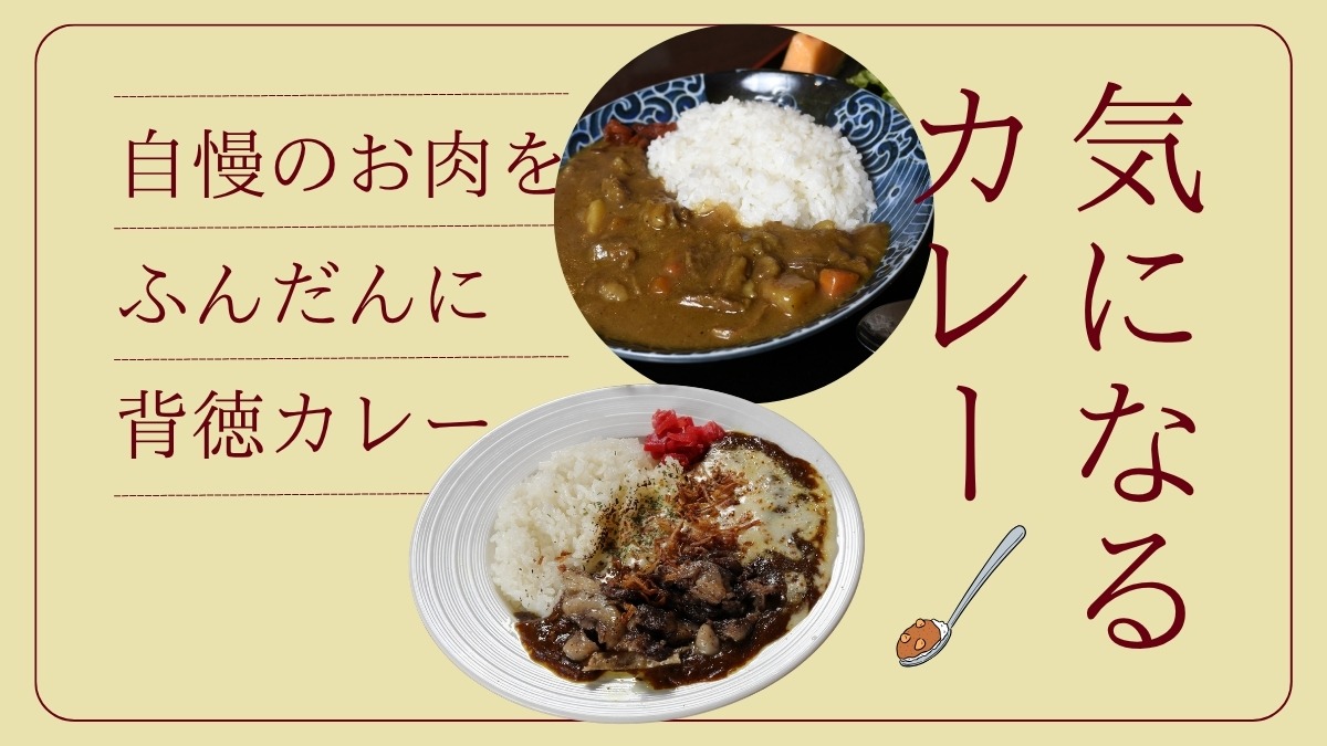 【徳島／気になるカレー】お肉自慢の背徳カレー（焼肉／定食）