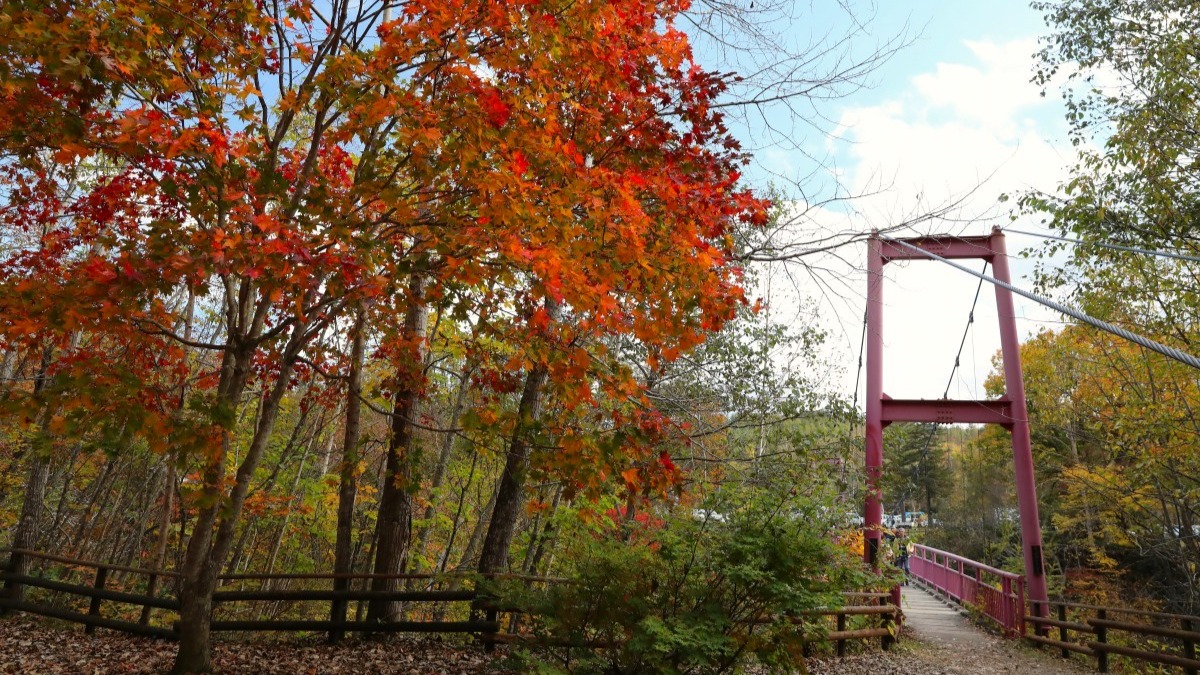 帯広・紅葉絶景と十勝の味覚「岩内仙峡もみじまつり」10月13日開催