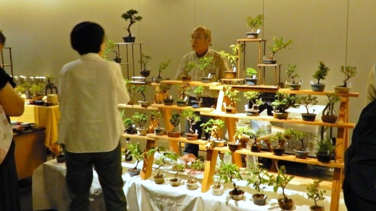 小さな盆栽の世界！札幌・チカホで“盆栽フェス”が7月6日開催