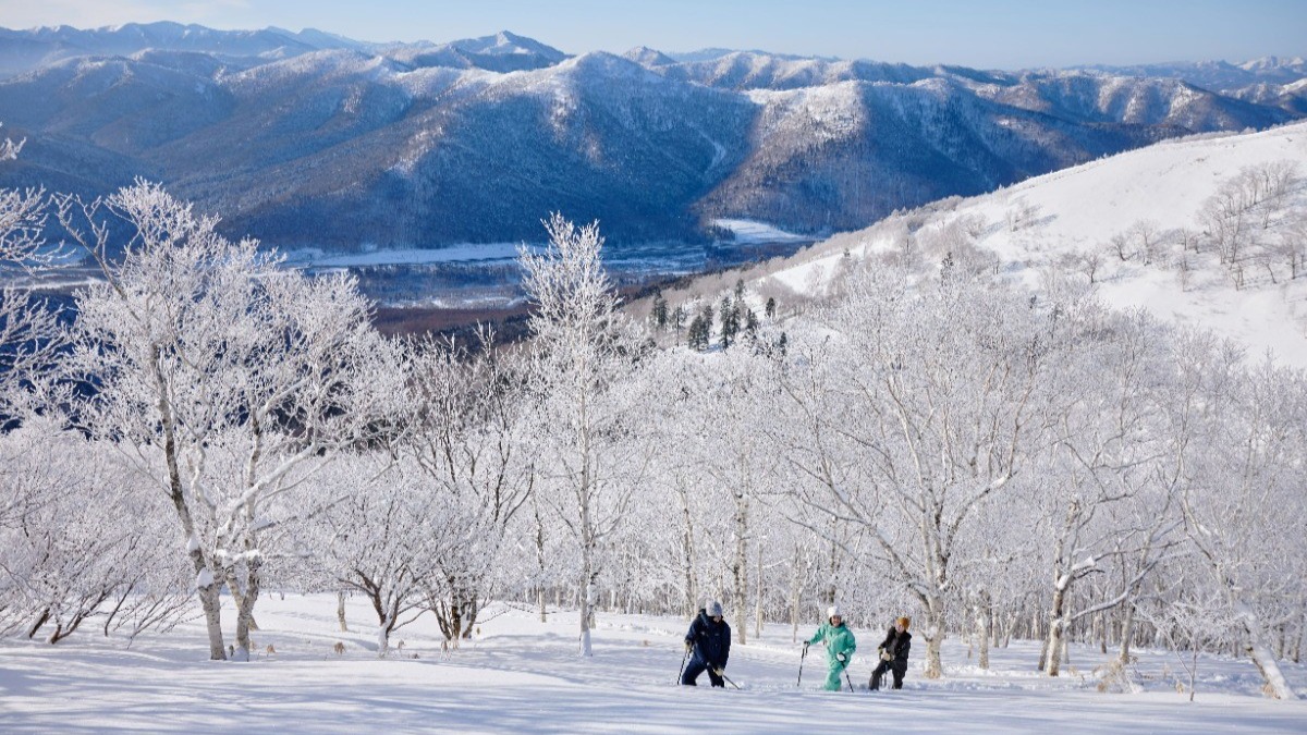 北海道・トマムで冬の絶景を満喫する霧氷スノーシュー開催！