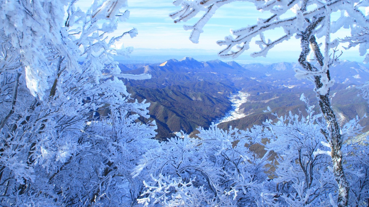 厳冬期限定の幻想的な光景！自然が生みだす芸術「霧氷」のシーズン到来！【御杖村】