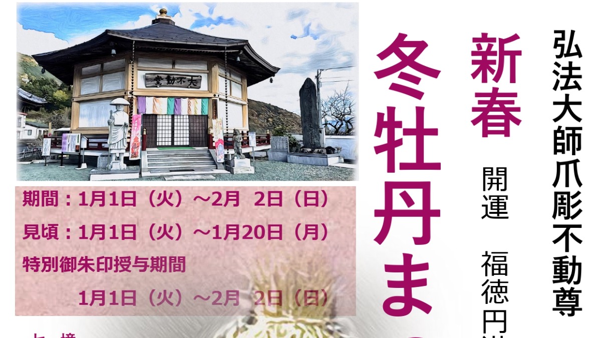 【徳島イベント情報2025】1/1～2/2｜密厳寺 冬牡丹祭り