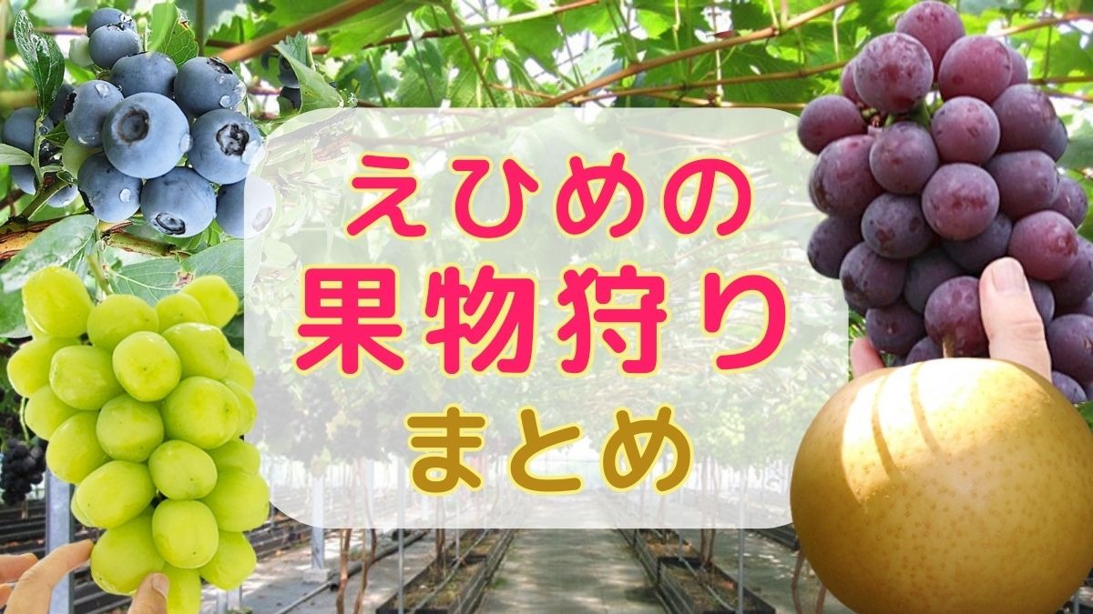 記事画像