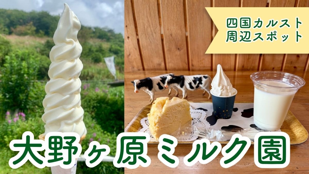記事画像