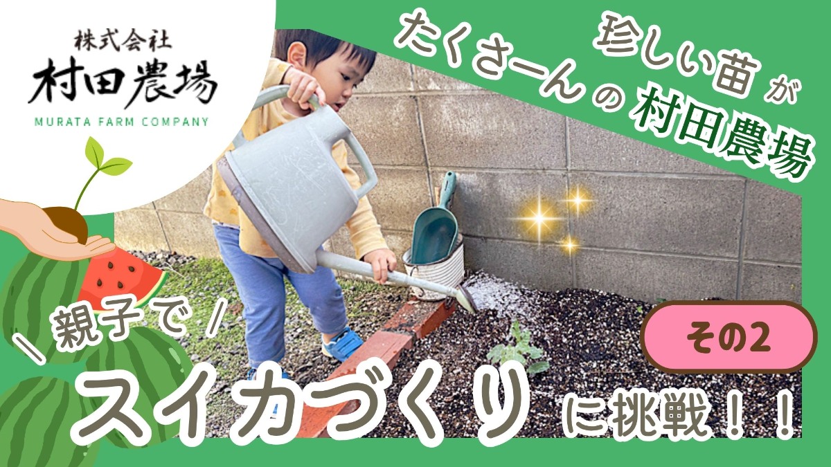 記事画像