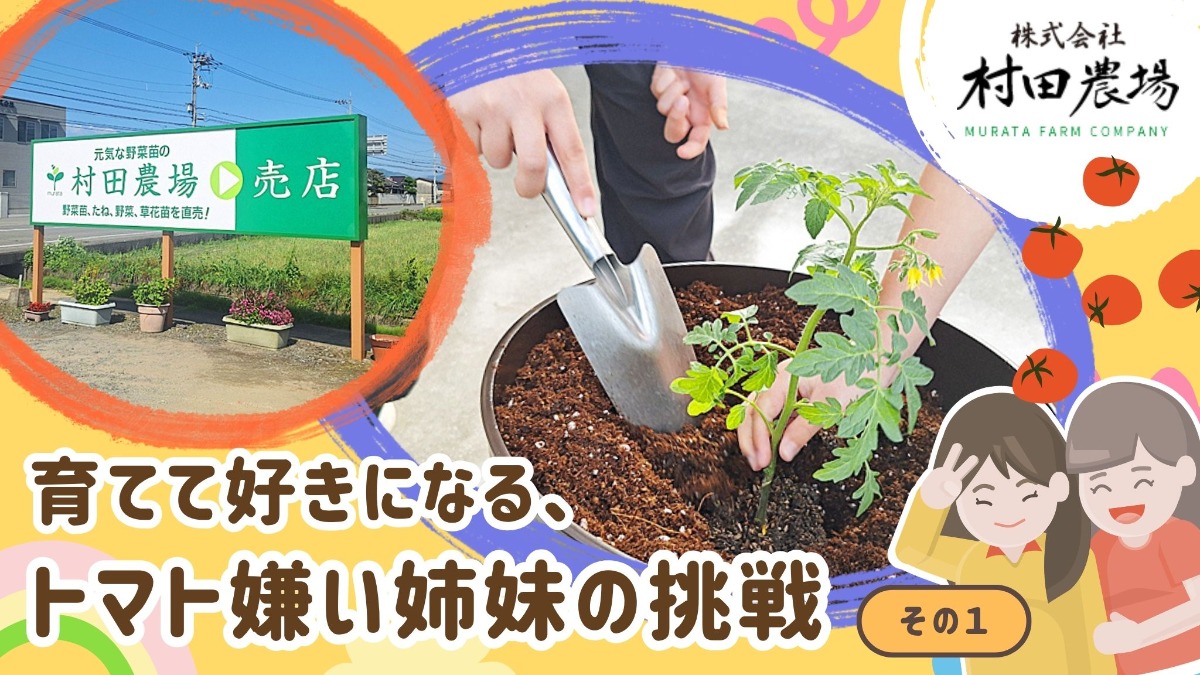 記事画像