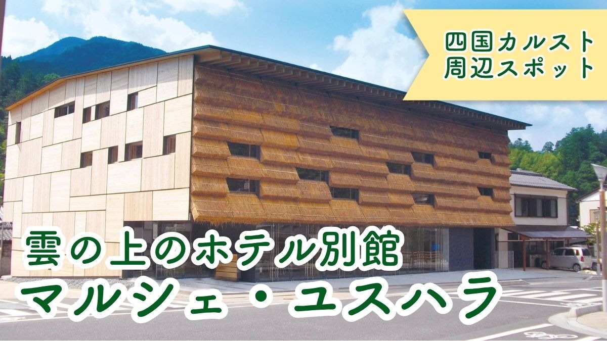 記事画像