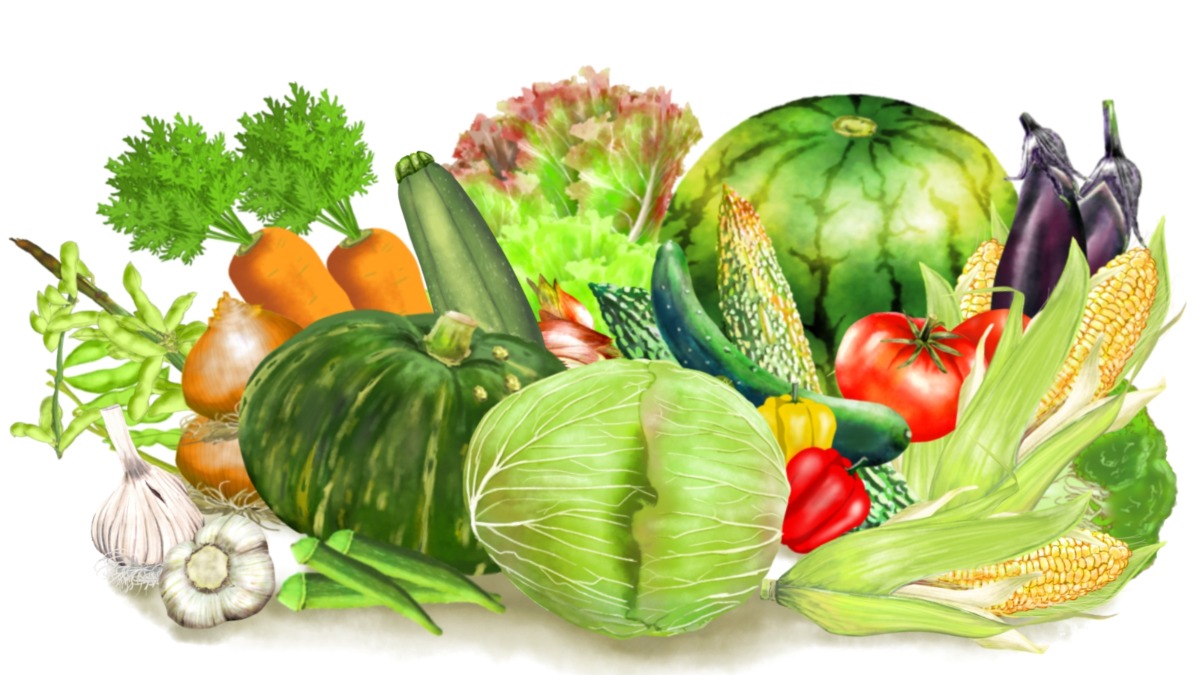 もっと野菜を知ろう！奈良の野菜を知ろう！8月31日は野菜の日！【奈良県的今日は何の日？】