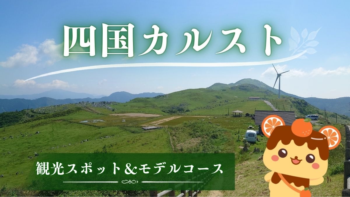 記事画像
