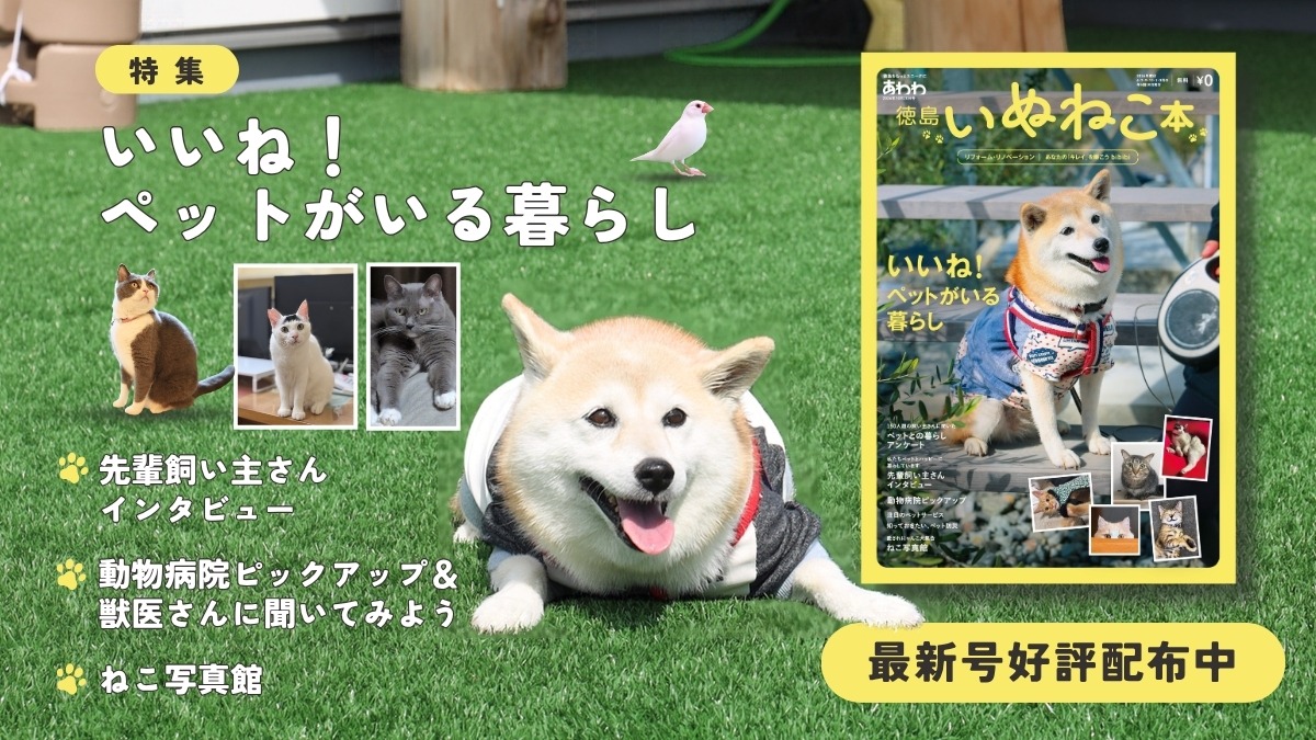 【10月19日配布開始】あわわ最新号・2026年10月20日号徳島いぬねこ本／ペット／動物病院／リフォーム／リノベーション／美容