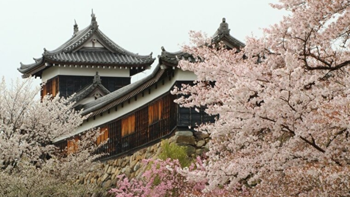 4月6日は城の日！奈良で城巡り【奈良県的今日は何の日】
