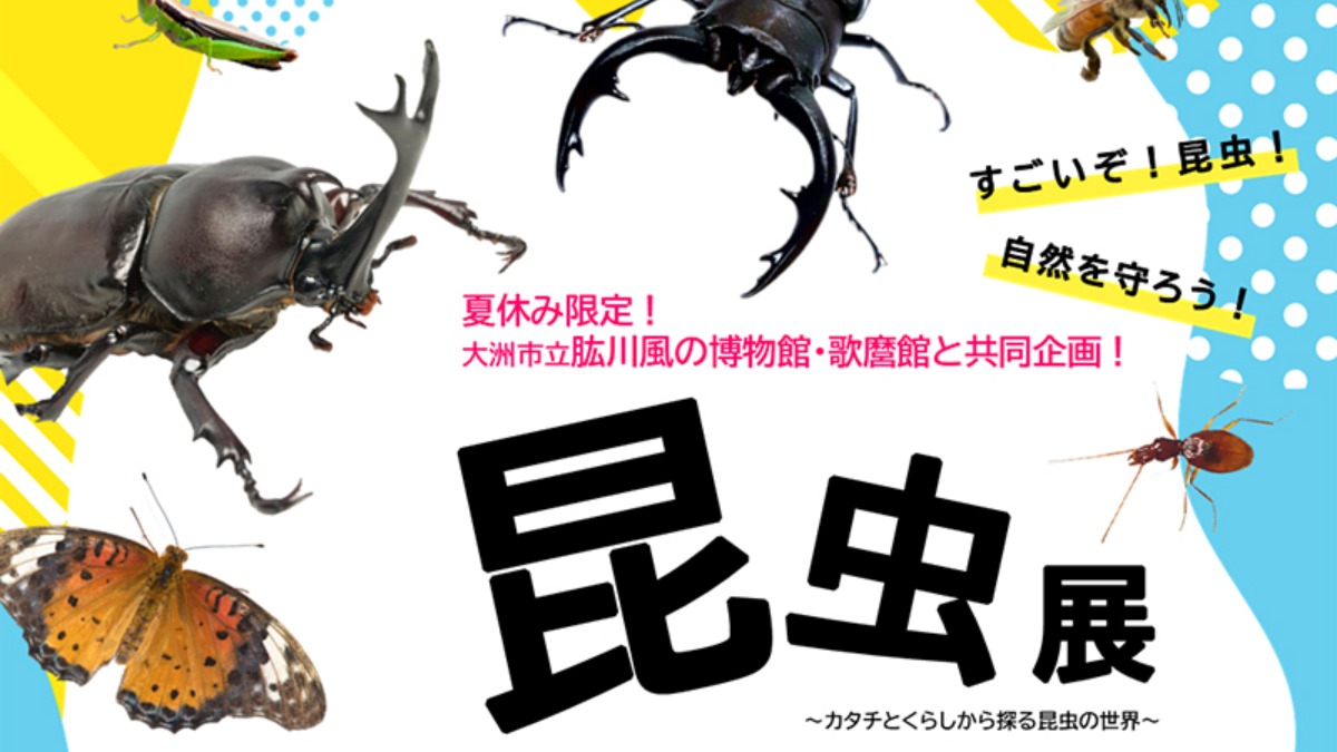 記事画像