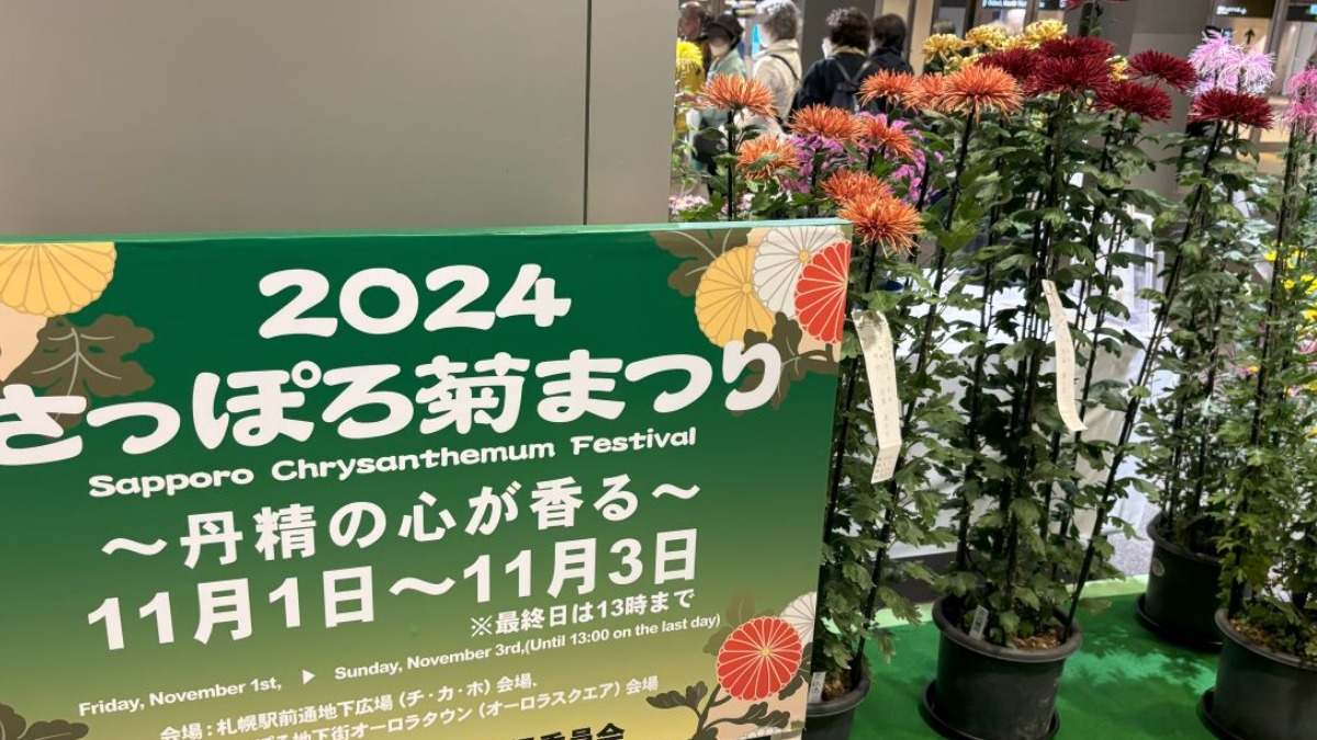 11月3日まで札幌チカホが菊の花で彩り豊か！ぜひお立ち寄りを