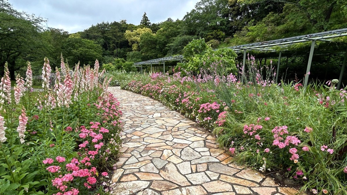 北海道の庭｜今週の花　浜名湖花博「はままつフラワーパーク」から