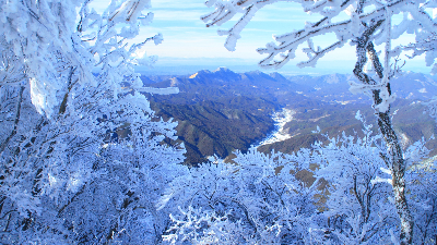 厳冬期限定の幻想的な光景！「霧氷」のシーズン到来！【御杖村】