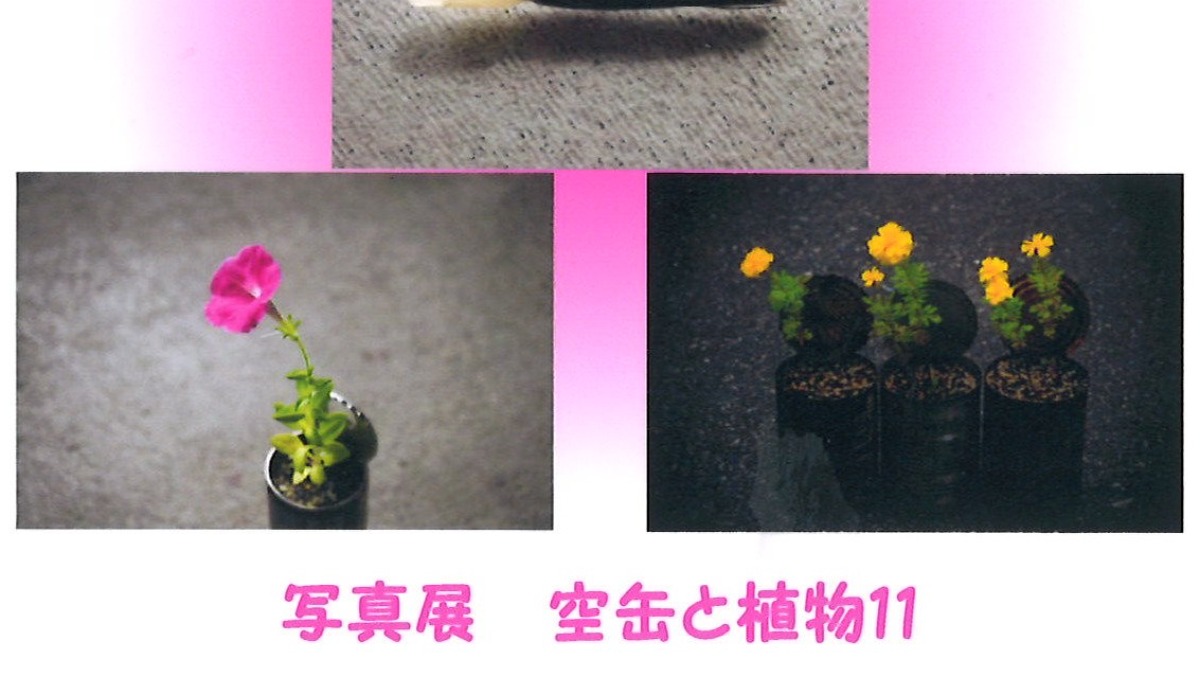 【徳島イベント情報2026】1/4～1/25｜空缶と植物11