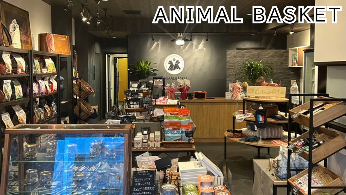《ANIMAL BASKET》大切な家族の健やかな毎日をサポートする、犬と猫のごはんの専門店