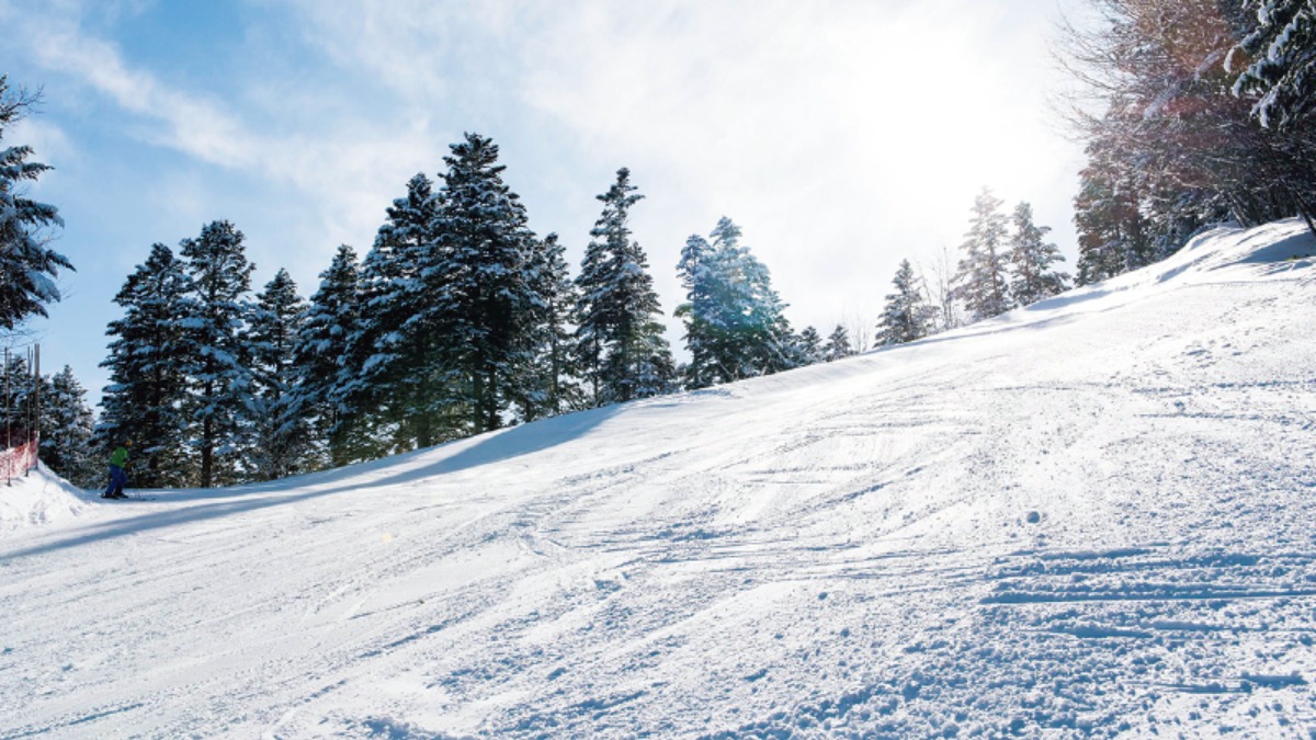 北海道移住・冬｜滝上町　ダイヤモンドダストが輝く、 冬は五感が敏感になるまち